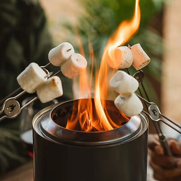 Mini Roasting Sticks