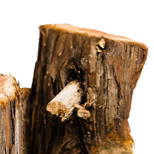 Juniper Aromatic Firewood